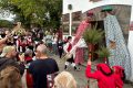 Romeria-A-Ermida-20